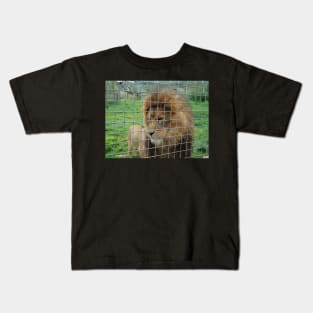 Lion staring at the food in zoo Kids T-Shirt